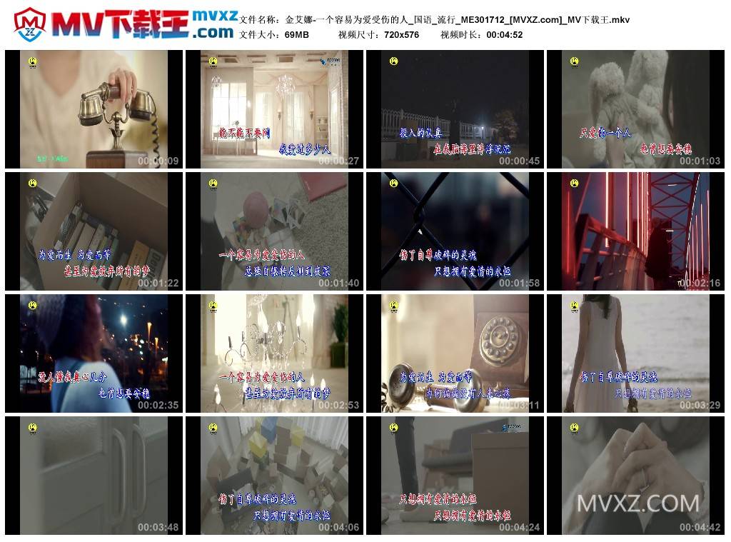 金艾娜-一个容易为爱受伤的人_国语_流行_ME301712